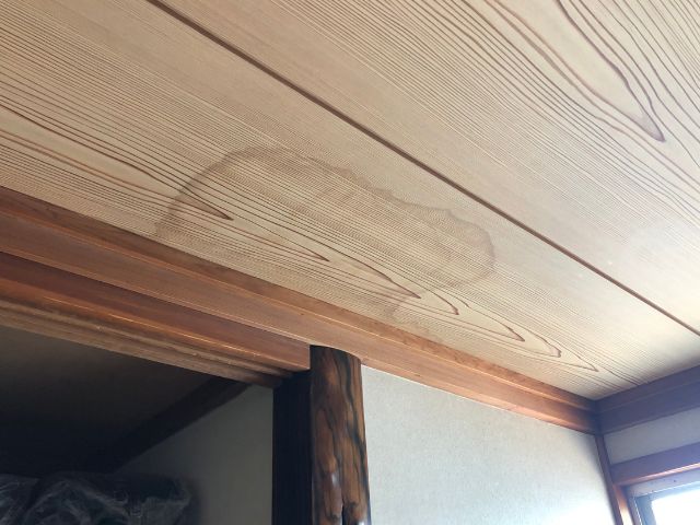 天井のシミ